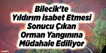 Bilecik'te yıldırım isabet etmesi sonucu çıkan orman yangınına müdahale ediliyor