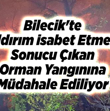 Bilecik'te yıldırım isabet etmesi sonucu çıkan orman yangınına müdahale ediliyor