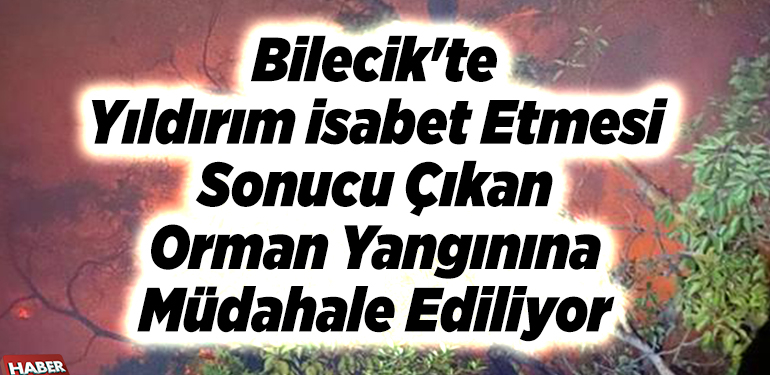 Bilecik’te yıldırım isabet etmesi sonucu çıkan orman yangınına müdahale ediliyor