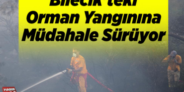 Bilecik'teki orman yangınına müdahale sürüyor