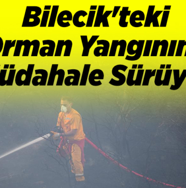 Bilecik'teki orman yangınına müdahale sürüyor