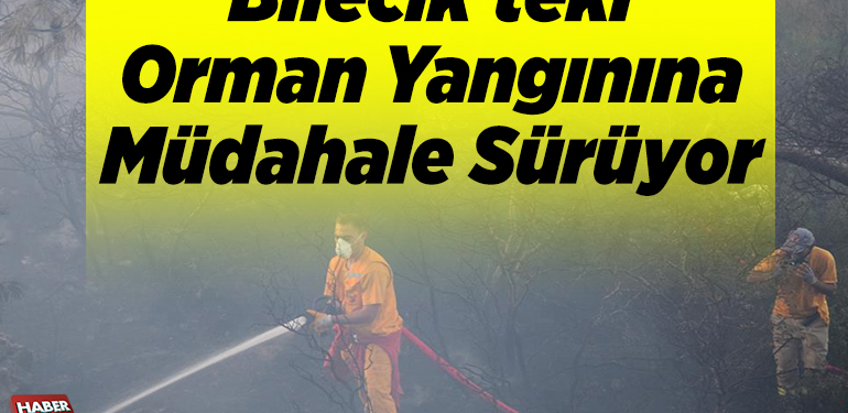 Bilecik’teki orman yangınına müdahale sürüyor