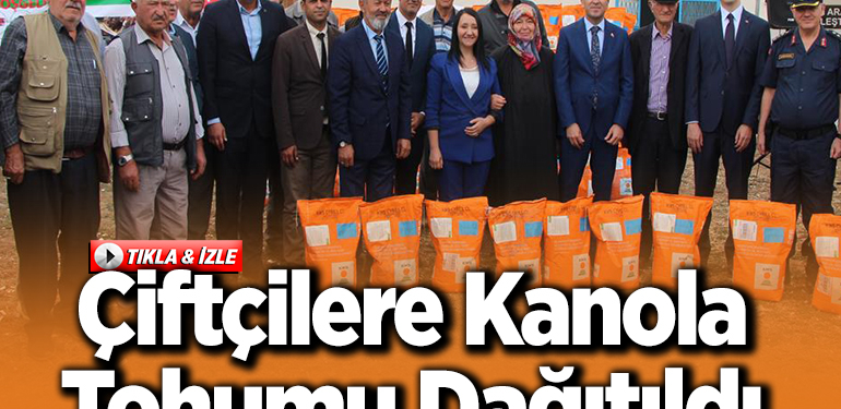 Çiftçilere kanola tohumu dağıtıldı