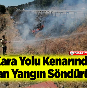 Kara yolu kenarında çıkan yangın söndürüldü