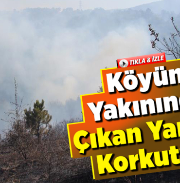 Köyün yakınında çıkan yangın korkuttu!