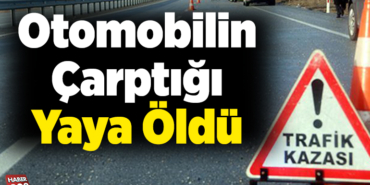 Otomobilin çarptığı yaya öldü