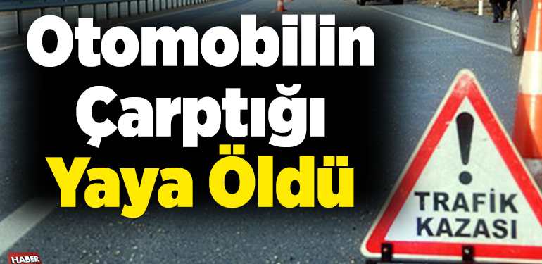 Otomobilin çarptığı yaya öldü