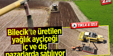 aycıcek