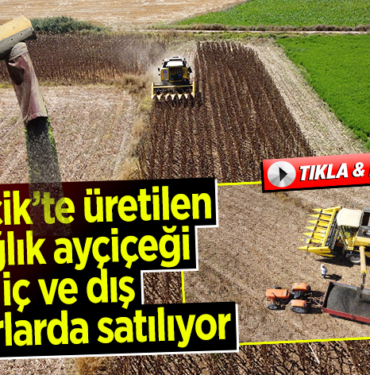 aycıcek