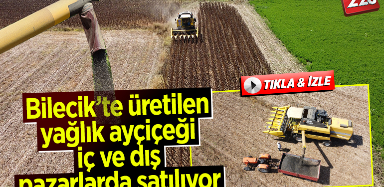 Bilecik’te üretilen yağlık ayçiçeği iç ve dış pazarlarda satılıyor