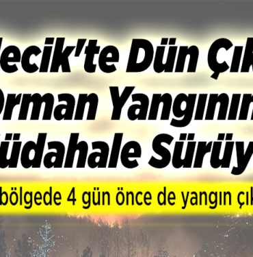 dün çıkan orman yangınına müdahale sürüyor