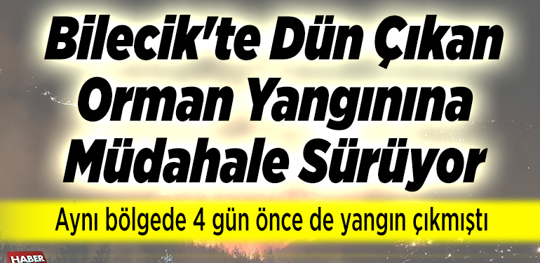 Bilecik’te dün çıkan orman yangınına müdahale sürüyor