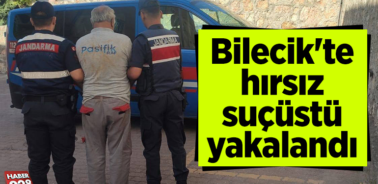 Bilecik’te hızlı tren inşaatından demir bağlantıları çalan şüpheli yakalandı