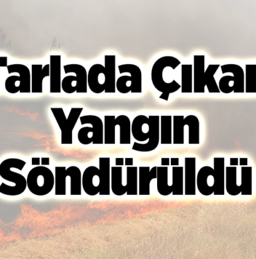 tarlada çıkan yangın söndürüldü
