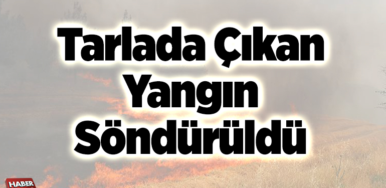 Tarlada çıkan yangın söndürüldü
