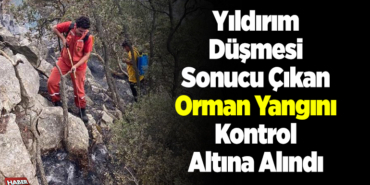 yıldırım düşmesi sonucu çıkan orman yangını kontrol altına alındı