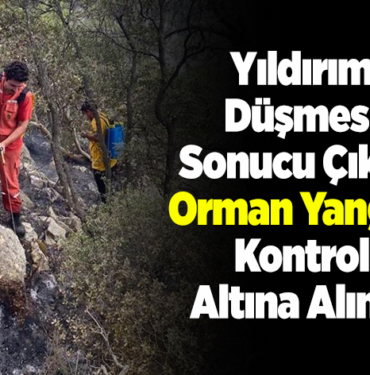 yıldırım düşmesi sonucu çıkan orman yangını kontrol altına alındı