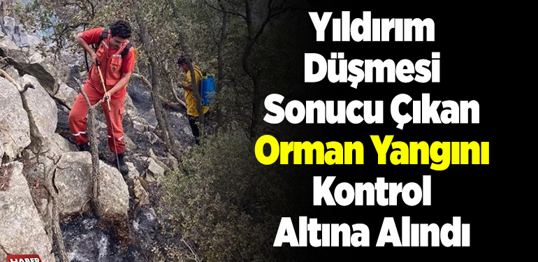 Yıldırım düşmesi sonucu çıkan orman yangını kontrol altına alındı