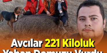 Avcılar 221 Kiloluk Yaban Domuzu Vurdu