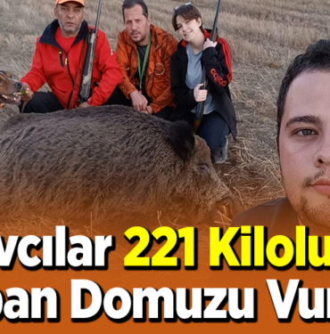 Avcılar 221 Kiloluk Yaban Domuzu Vurdu