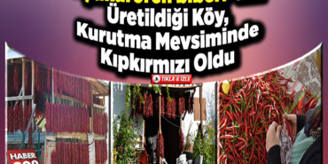 Cukuroren-biberi