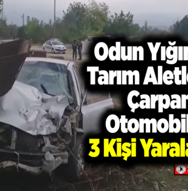 Odun Yığını ve Tarım Aletlerine Çarpan Otomobilde 3 Kişi Yaralandı!