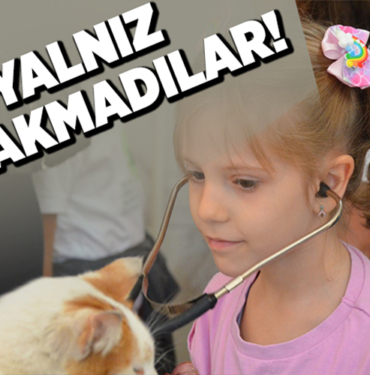 Veteriner-Isleri-Muduru-Nedret-Avci-ve-barinak-calisanlari-ogrencileri-agirlayarak-yaptiklari-calismalar-hakkinda-bilgiler-verdi