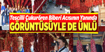 çukurören büberi