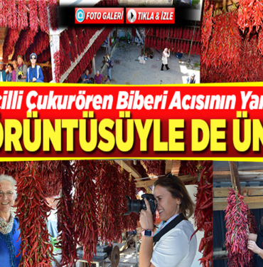çukurören büberi