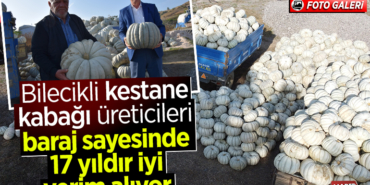 kabak