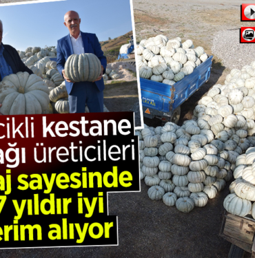kabak