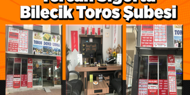 tercan sigorta bilecik