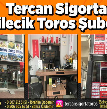 tercan sigorta bilecik