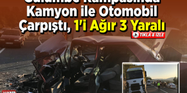 .jpg