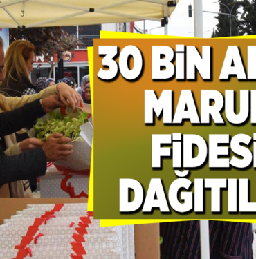 30 BİN ADET MARUL FİDESİ DAĞITILDI
