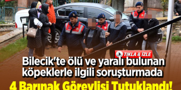 4 barınak görevlisi tutuklandı