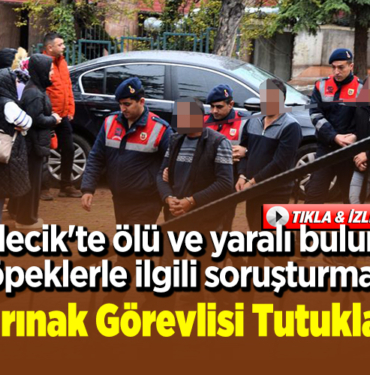 4 barınak görevlisi tutuklandı