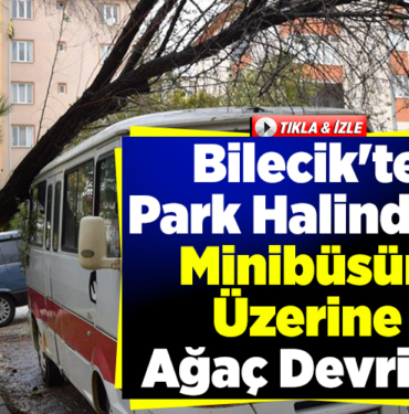 Bilecik'te park halindeki minibüsün üzerine ağaç devrildi