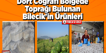 Dört coğrafi bölgede toprağı bulunan Bilecik'in ürünleri