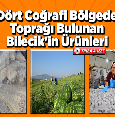 Dört coğrafi bölgede toprağı bulunan Bilecik'in ürünleri
