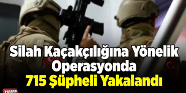Silah kaçakçılığına yönelik operasyonda 715 şüpheli yakalandı