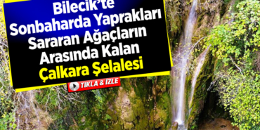 Sonbaharda yaprakları sararan ağaçların arasında kalan Çalkara Şelalesi