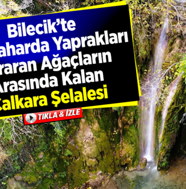 Sonbaharda yaprakları sararan ağaçların arasında kalan Çalkara Şelalesi