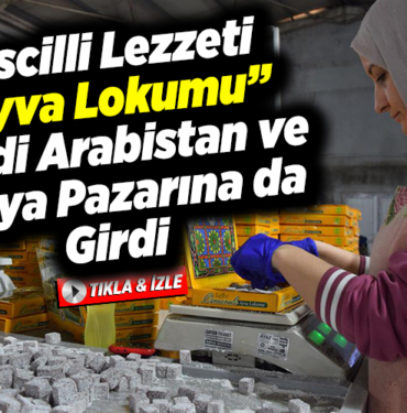 Suudi Arabistan ve Rusya pazarına