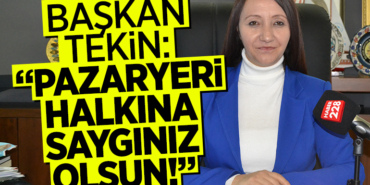 TEKİN