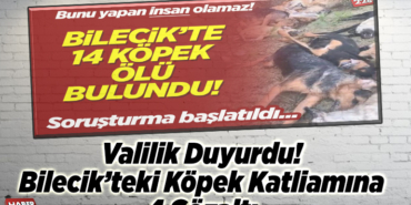 Valilik Duyurdu! Bilecik’teki köpek katliamına 4 gözaltı