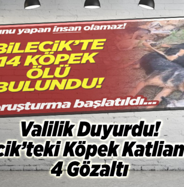 Valilik Duyurdu! Bilecik’teki köpek katliamına 4 gözaltı