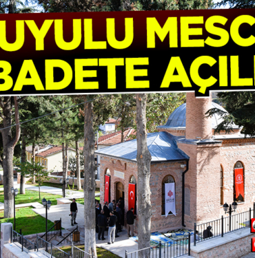mescid