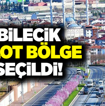 pilot bölge