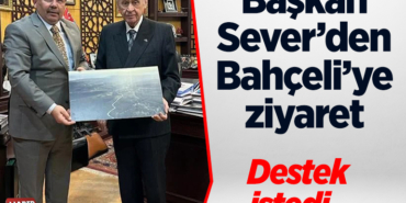 sever